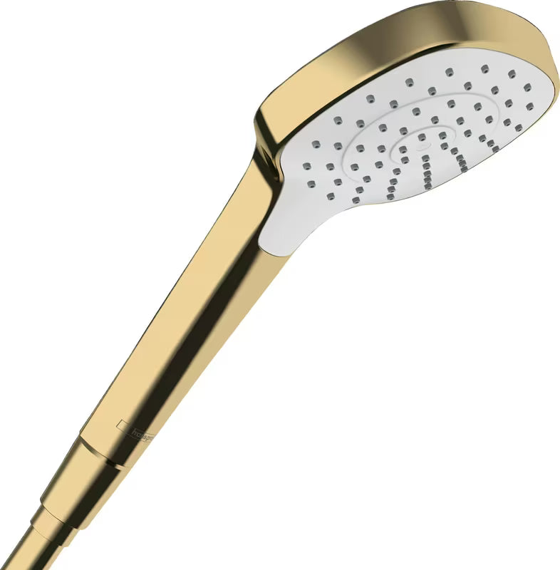 Rankinis dušelis Hansgrohe Croma gold su Rain srove, 110 mm skersmens
