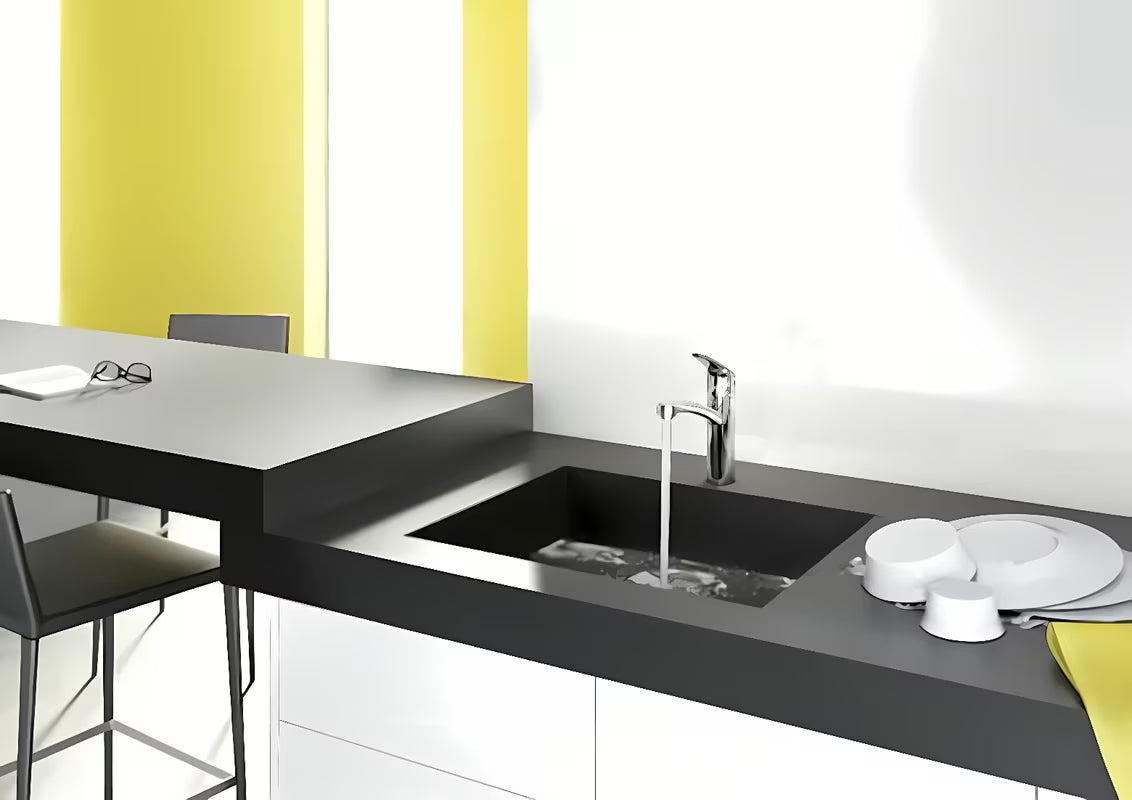 Chromuotas stovintis virtuvinis maišytuvas Hansgrohe HG248 su pasukamu snapu su EcoSmart technologija