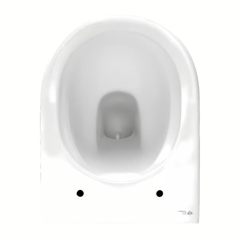 Pakabinami WC komplektas SAT Brevis su potinkiniu bakeliu, nuleidimo mygtuku ir sėdyne softclose