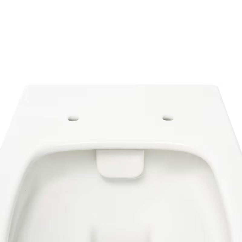 Pakabinami WC komplektas SAT Infinitio su bakeliu Geberit Duofix ir nuleidimo mygtuku Delta