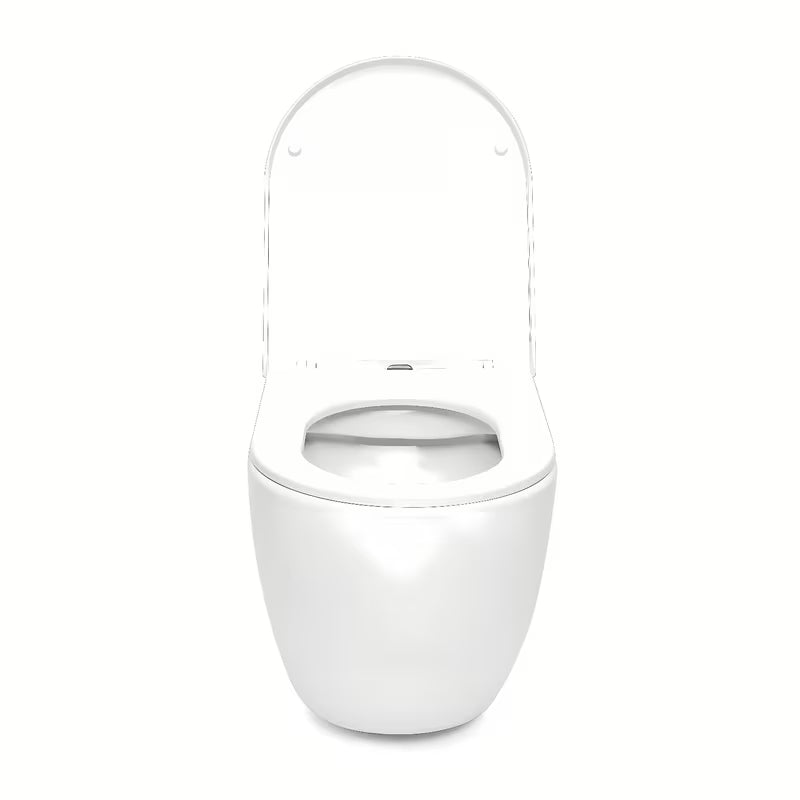 Pakabinami WC komplektas SAT su moduliu lengvoms sienoms, bakeliu, blizgaus chromo nuleidimo mygtuku ir duroplastine sėdyne.