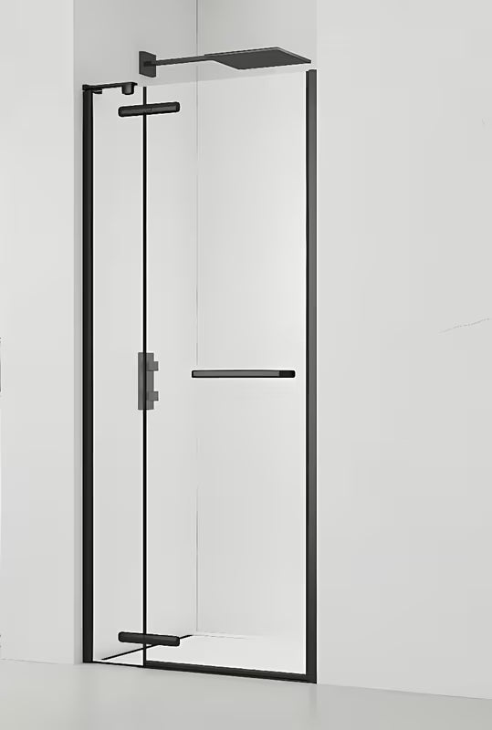 Dušo durys nišai SAT TGD New 100 cm, juoda matinė spalva, skaidrus stiklas