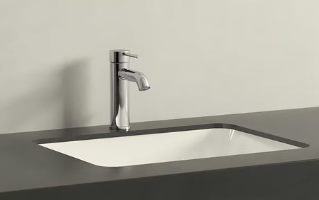 Chromuotas svirtinis praustuvo maišytuvas Grohe Essence New su nuotako komplektu ir lenktu snapu.
