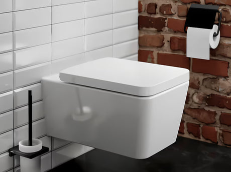 Sieninė WC šepetys hansgrohe addstoris matinės juodos spalvos su laikikliu iš metalo ir stiklo