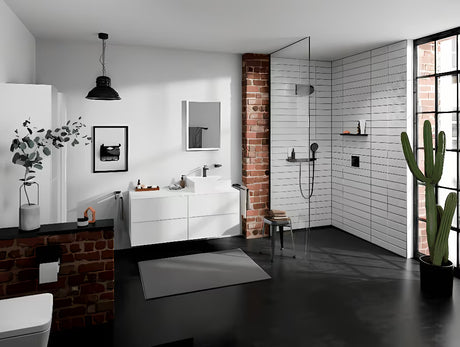 Hansgrohe addstoris tualetinio popieriaus laikiklis su dangteliu matinės juodos spalvos, tvirtinamas prie sienos