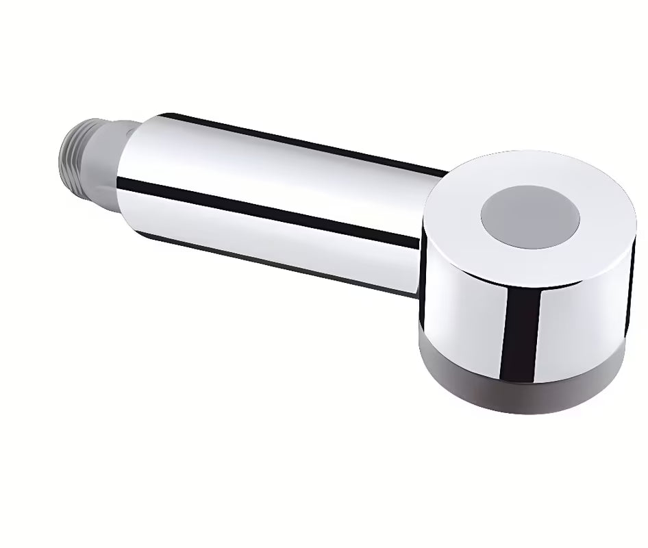 Chromuota dušo galvutė Hansgrohe Talis S skirta pro virtuviniam maišytuvui.