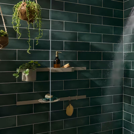 Smėlio spalvos dušo lentynėlė hansgrohe wallstoris Planet Edition pro šampūnui ir dušo reikmenims laikyti