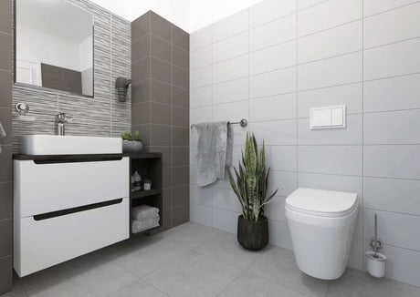 Sieninė WC šepetys Multi Ecoloc chromo spalvos, su siurbtuku, pro montavimas be gręžimo.