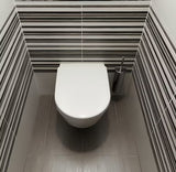 WC šepetys Optima Chrome iš poliruoto nerūdijančio plieno, galima montuoti ant sienos arba pastatyti ant grindų.
