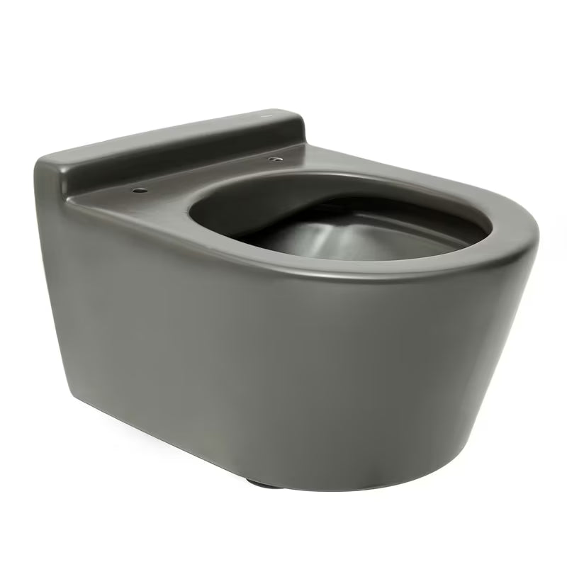 Pakabinamas KLOZETAS Roca Inspira matinės onikso spalvos, berėmio Rimless tipo, su paslėptu tvirtinimu.