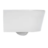 Pakabinami WC komplektas SAT Brevis su potinkiniu moduliu, nuleidimo mygtuku ir sėdyne su softclose ir EasyLock.