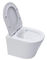 Pakabinami WC komplektas SAT Infinitio su potinkiniu moduliu, juodu matiniu nuleidimo mygtuku ir sėdyne softclose
