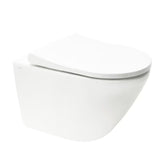 Pakabinami WC komplektas vitra Integra su montavimo moduliu, bakeliu SAT ir sėdyne softclose, baltos spalvos.