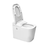 Pastatomas WC SAT optimflush baltos spalvos su integruotu bakeliu ir šoniniu pneumatiniu nuleidimo mygtuku.