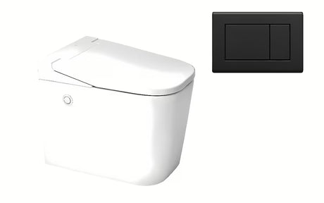 Pastatomas WC SAT optimflush baltos spalvos su bakeliu ir sieniniu nuleidimo mygtuku.
