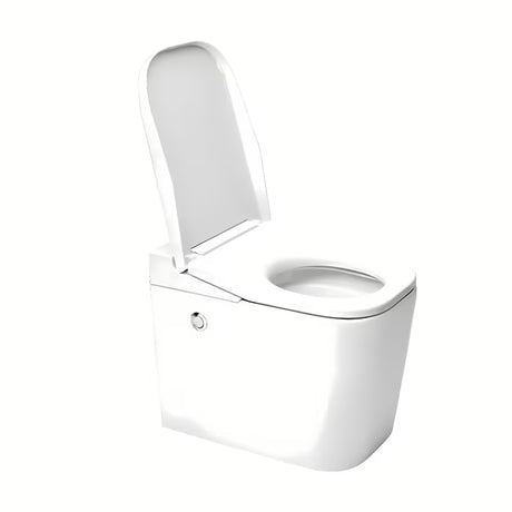 Pastatomas WC SAT optimflush baltos spalvos su bakeliu ir sieniniu nuleidimo mygtuku.