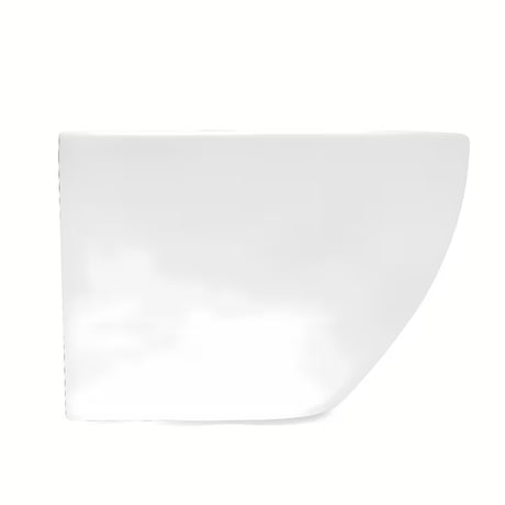 Baltas pakabinamas KLOZETAS SAT su Rimless technologija rimless  ir sėdyne su softclose