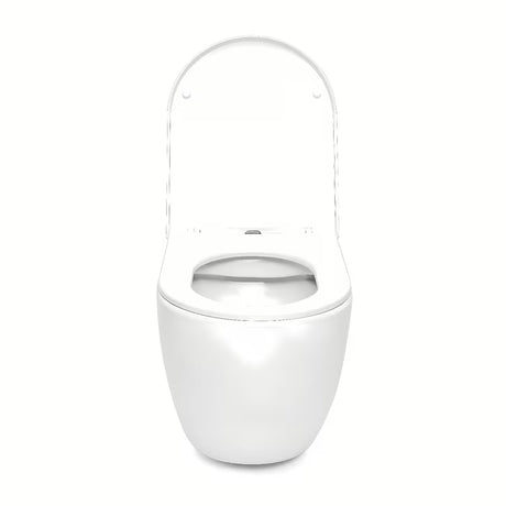 Pakabinami WC komplektas SAT su potinkiniu moduliu, taupiu nuleidimu ir baltu matiniu nuleidimo mygtuku.