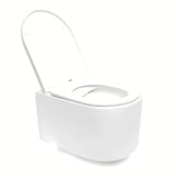 Pakabinami WC komplektas SAT lengvoms sienoms su chromuotu nuleidimo mygtuku ir sėdyne softclose.