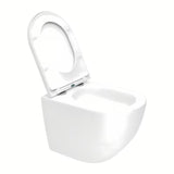 Pakabinami WC komplektas SAT Fusion su sūkuriniu nuplovimu, potinkiniu moduliu ir sėdyne softclose