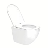 Pakabinami WC komplektas SAT Fusion su įmontuojamu moduliu, bakeliu SAT, blizgaus chromo nuleidimo mygtuku ir sėdyne