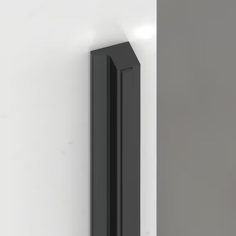 Dušo durys nišai SAT TGD New 100 cm, juoda matinė spalva, skaidrus stiklas