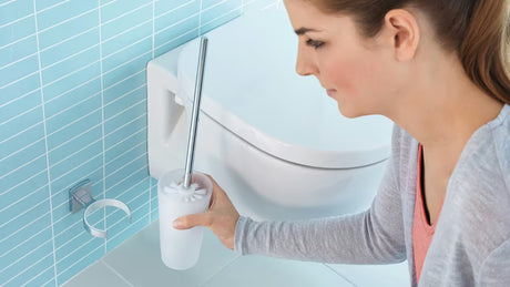 Chromuota sieninė WC šepetys Tesa Klaam su laikikliu pro moderniam vonios kambariui
