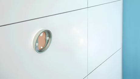 WC šepetys Tesa Moon iš šlifuoto plieno su satinuoto stiklo indu, montuojamas be gręžimo
